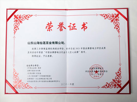 中国品牌影响力行业十大匠心品牌